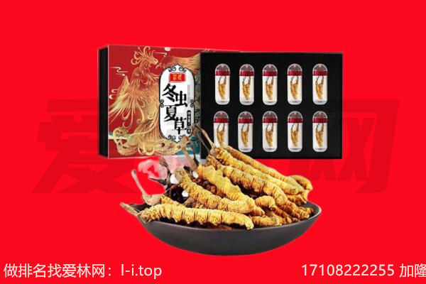 长沙回收虫草.jpg